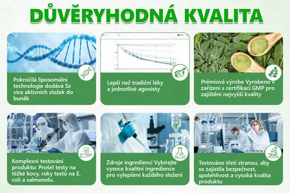 🇨🇿 Oficiální obchod | 💯 PZGONE® Moringa·Berberine×NAD+ 10v1 Náplast (Okamžitý účinek, 7 dní viditelná transformace)✅ Řešení pro: Obezita, ochablá pokožka, diabetes, spánková apnoe, kloubní potíže.